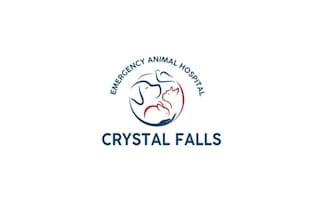 design creative bold large emergency animal hospital logo
