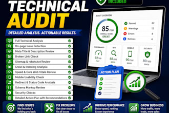 do professional website SEO audit and technical analysis