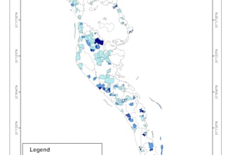 do professional gis mapping and spatial analysis