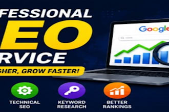 do professional SEO for your website
