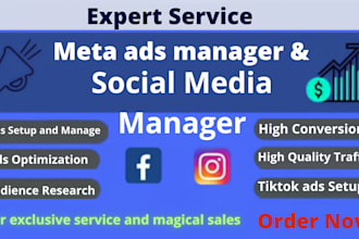 be your expert artist manager, meta ads manager, social media manager