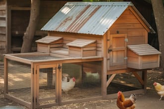 design a modern chicken coop, woodworking plan and outdoor structure blueprint