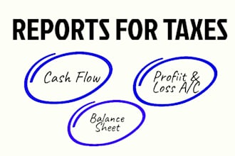 do profit and loss, balance sheet, schedule c for tax preparation
