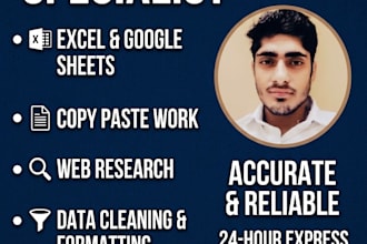 do expert data entry, excel data entry and copy paste work
