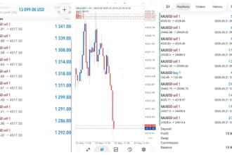 provide efficient forex trading bot forex bot forex robot trading bot fx bot
