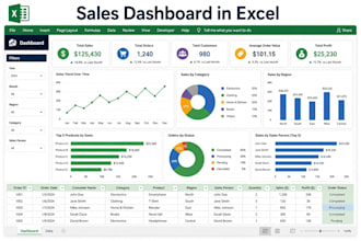 build professional excel dashboards and reports