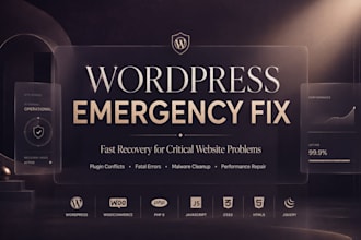 solve wordpress bugs, CSS problems, responsive layout errors