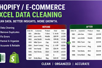 clean and organize shopify ecommerce excel data
