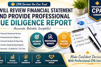 review financial statement and provide professional due diligence report as CPA