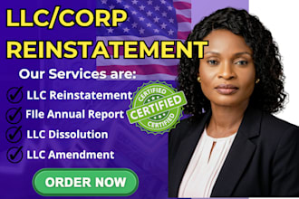do US llc or corp reinstatement, amendment , dissolution, llc address change
