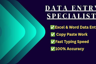 do professional data entry copy paste work and data management