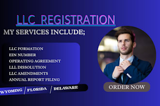 register your llc in delaware, wyoming, florida, or texas flawlessly