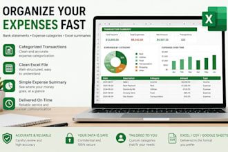 categorize your bank statement or expenses in excel