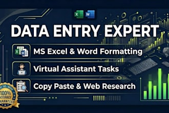 do expert ms excel data entry, word formatting and virtual assistant tasks