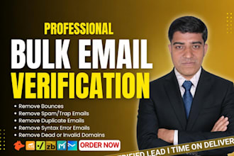 do bulk email verification and validation