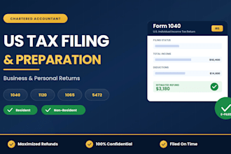 prepare and file your US business and personal tax returns