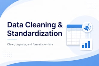 do excel data cleaning, formatting, and duplicate removal