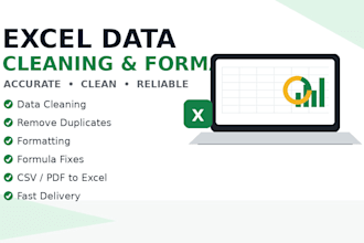 clean format and organize excel spreadsheets professionally