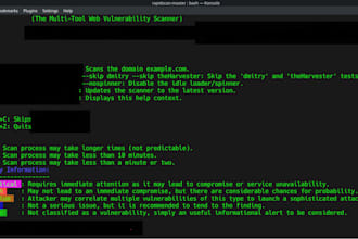 check for vulnerabilities, security level and risk level
