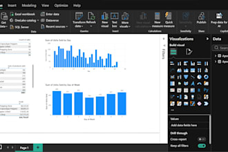 provide professional data visualization dashboards