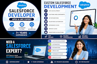 develop custom salesforce solutions using apex
