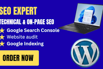 do website audit, technical optimization and google indexing