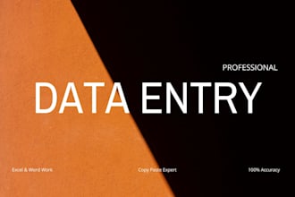 do up to 4 hours of professional excel data entry and copy paste