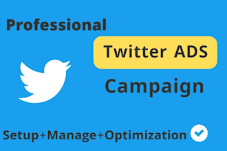 set up and manage your twitter x ads campaign for promotion and traffic