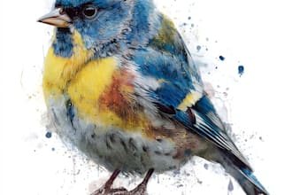 draw birds or animals in scientific illustration digitally
