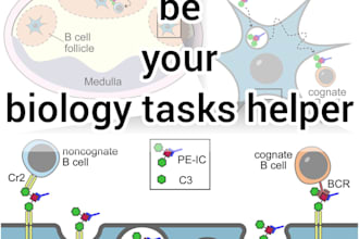 do tasks, research and analysis on molecular and cell biology