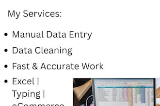 do data entry, excel work, and ecommerce product listing