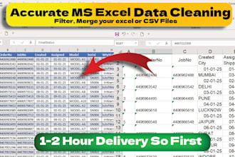 do accurate ms excel data cleaning or merge
