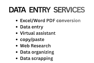 provide efficient data entry and admin support as a virtual assistant
