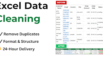 clean, format, and organize excel data professionally