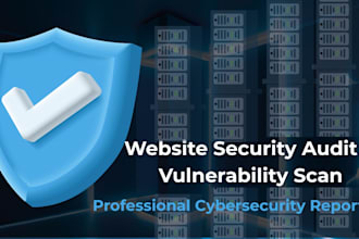 do a website security audit and vulnerability scan