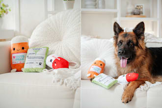 take creative lifestyle pet product photography
