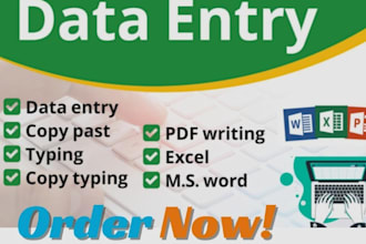 data entry, typing, and excel data analytics
