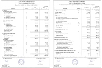 professional accounting bookkeeping payroll reconciliation services