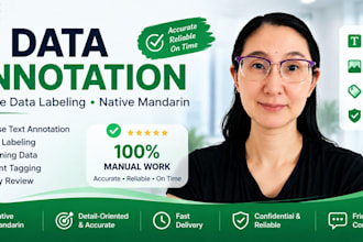 do chinese ai data annotation and data labeling