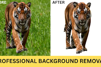 do background removal and image cutout