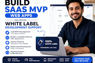 build saas mvp web apps, software integration and custom plugin development
