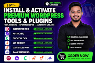 install elementor pro, astra pro, crocoblock, wp rocket, cartflow , rank math