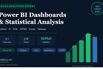 build power bi dashboards, python analytics, and statistical reports for