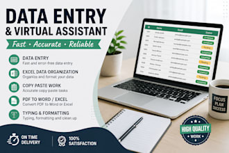 do data entry and excel data entry work accurately