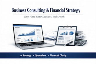 provide consulting, analysis, and strategic planning for your business