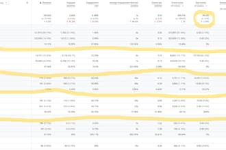 run paid media strategies that consistently deliver results