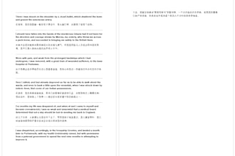 provide professional english to chinese translation for your book or novel