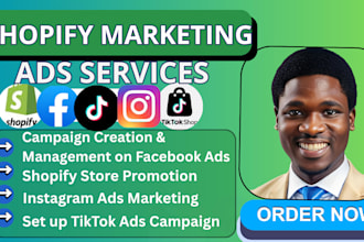 manage facebook ads campaign shopify store marketing tiktok store instagram ads