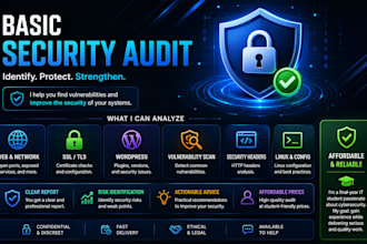 perform a basic cybersecurity audit and vulnerability assessment