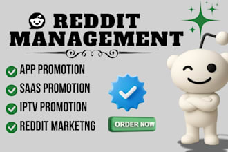 market stan store, etsy shop digital products or web app using reddit seo